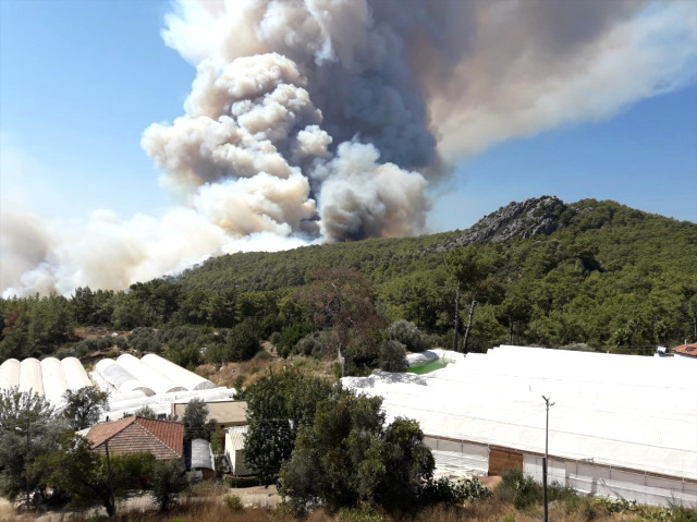 Antalya'da <a class='keyword-sd' href='/orman-yangini/' title='Orman Yangını'>Orman Yangını</a> Çıktı! Ekipler Müdahale Ediyor