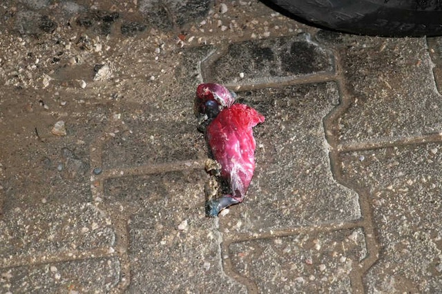 Adana'da Bir Otomobil Kundaklandı, Aracının Kundaklandığını Gören Kadın Baygınlık Geçirdi