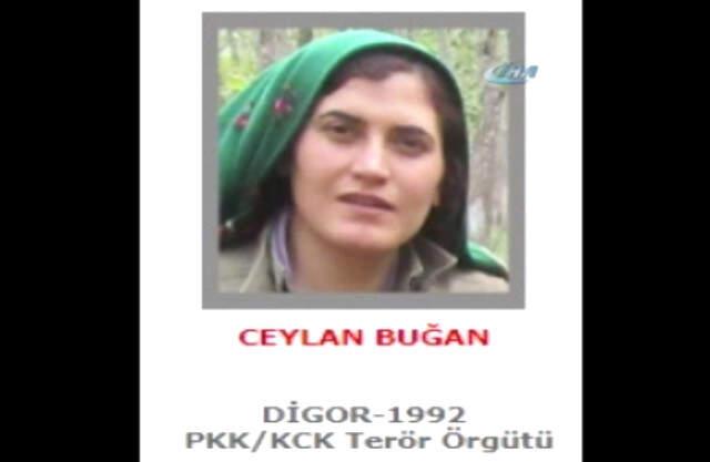 300 Bin TL Ödülle Aranan Kadın Terörist Öldürüldü Bingöl'de, 300 Bin TL Ödülle Aranan Gri Listedeki Kadın Terörist Öldürüldü