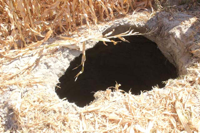 Mısır Hasadı Yapan Çiftçinin Biçerdöveri, 8 Metrelik Obruğa Saplandı Mısır Hasadı Yapan Çiftçinin Biçerdöveri, 8 Metrelik Obruğa Saplandı