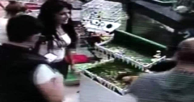Evcil Hayvan Dükkanından Tavşan Çalan Genç Kız, Kameraya Yakalandı