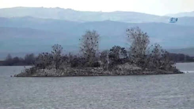 Sular Çekilince, Gölün Ortasındaki Adaya Yürüyerek Gittiler