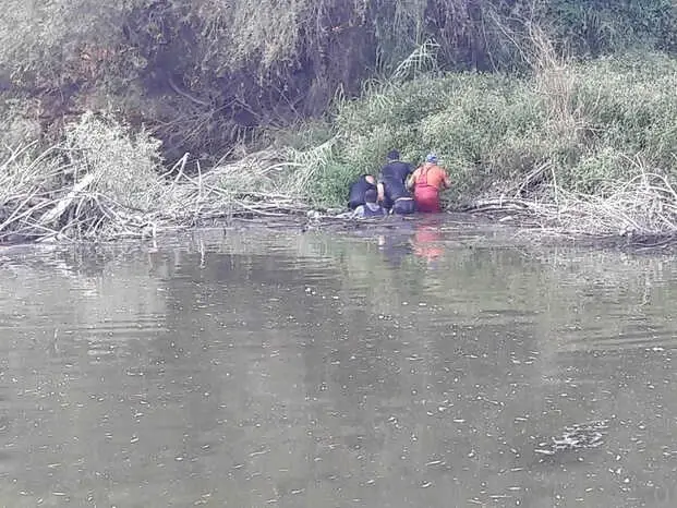 Çine Çayı'nda Amatör Balıkçılar, Kendi Boylarında Balıklar Yakalıyor