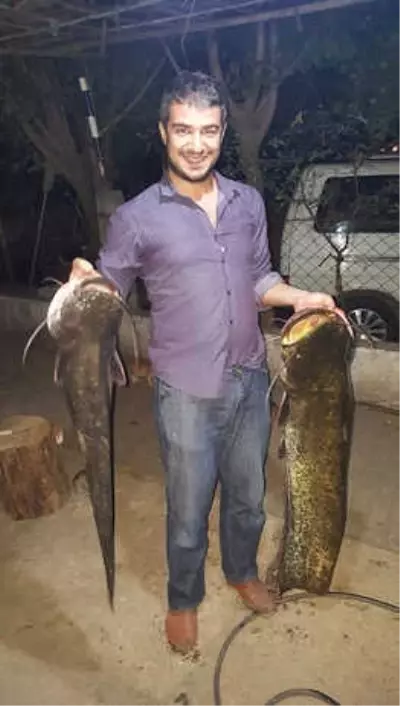 Çine Çayı'nda Amatör Balıkçılar, Kendi Boylarında Balıklar Yakalıyor