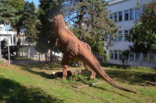 Melih Gökçek'in Ankapark için Aldığı Dinozorlar Trabzon'a Göç Etti