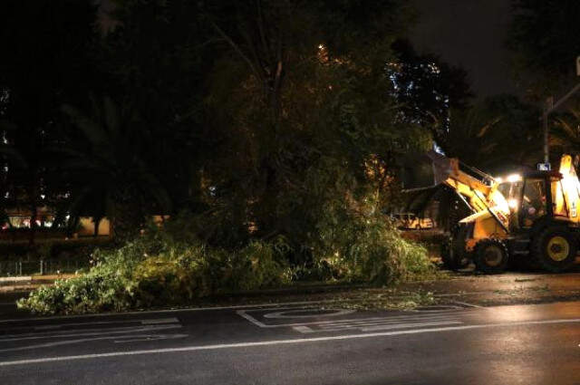 Şiddetli Rüzgar Ağacı Lüks Otomobilin Üstüne Devirdi İstanbul'u Kestane Karası Fırtınası Vurdu! Ağaçlar Devrildi, Yollar Kapandı