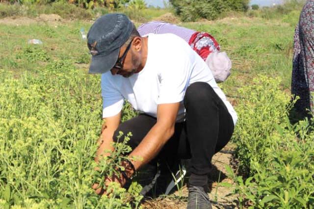 17 Yıllık Mesleğini Bırakarak Şeker Otu Yetiştirmeye Başlayan Kadın Girişimci Servetine Servet Kattı