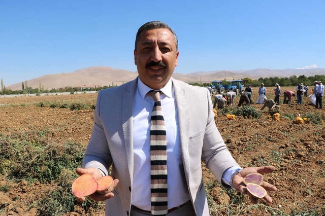 Türkiye'de Bir İlk! Milli ve Renkli Patatesler Yakında Sofraları Süsleyecek