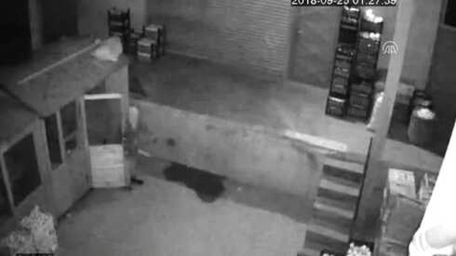 İş Yerine Giren Hırsız, Çalacak Bir Şey Bulamayınca Ortalığı Yıktı Geçti