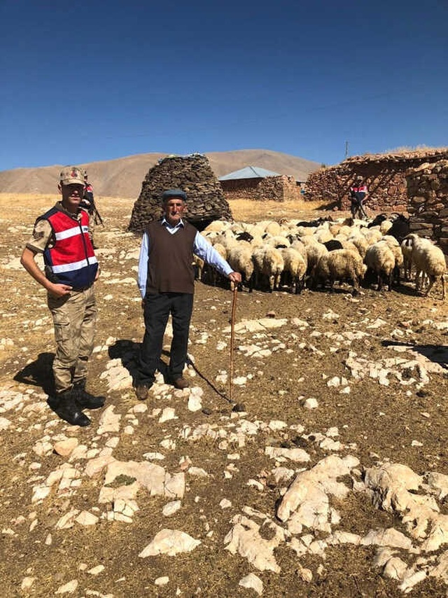 Çalınan 107 Küçükbaş Hayvan, Jandarmanın 50 Kilometrelik Takibi Sonucu Bulundu