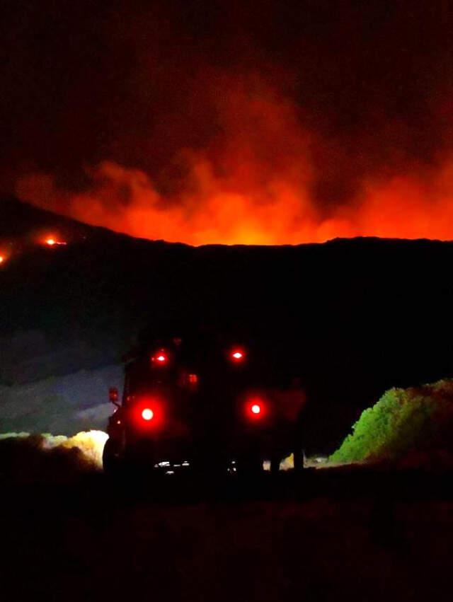 Bodrum'da Çıkan Yangında 30 Hektarlık Alan Küle Döndü