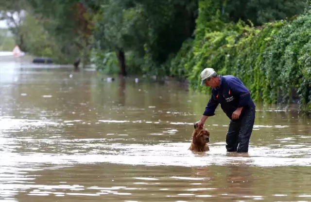 Beykoz'da Şiddetli Yağış Nedeniyle Taşan Dere Hayatı Felç Etti