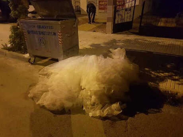 Takı Yüzünden Tartışma Çıktı, Gelin ve Damat Aynı Gün Boşanma Kararı Aldı