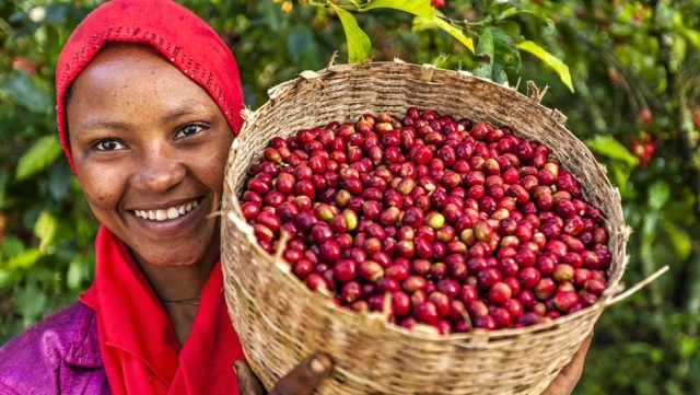 1 Ekim Dünya Kahve Günü: Günümüzün Vazgeçilmez İçeceği Hakkında Bilinmeyen 12 Gerçek