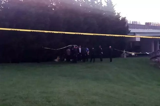 İstanbul'da Bir Kişi Ağaca Asılı Halde Bulundu