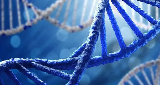 ABD'de Yapılan Araştırma, Çocuklukta Maruz Kalınan Cinsel Tacizin DNA'yı Değiştirdiğini Ortaya Koydu