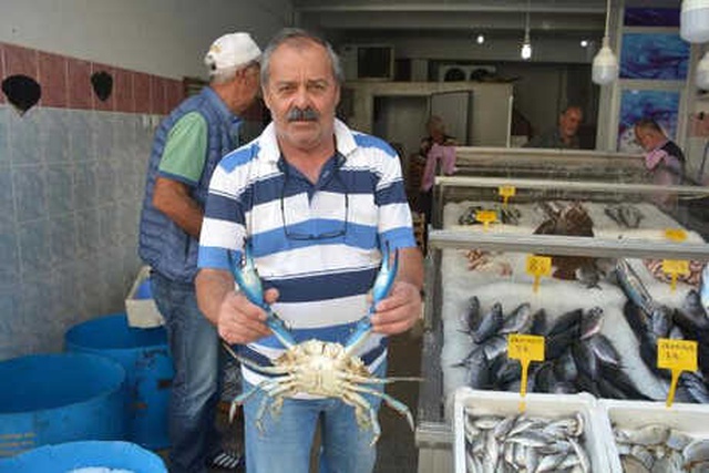 Balıkçıların Ağına Takılan Mavi Yengeç, Vatandaşları Şaşkına Çevirdi