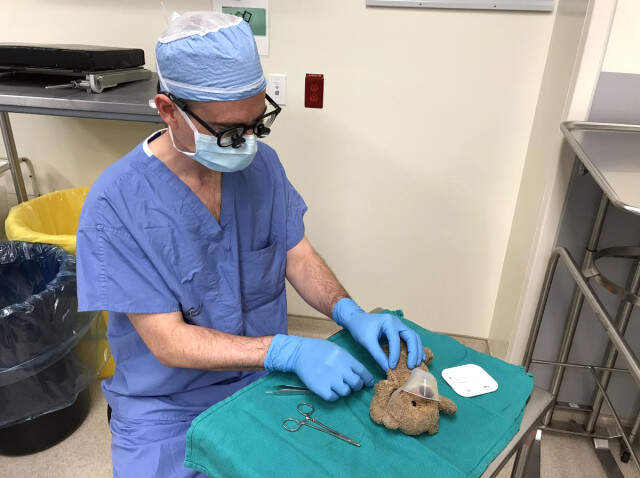 Cerrah, 8 Yaşındaki Hastasının Oyuncak Ayısını Ameliyat Etti Doktor, 8 Yaşındaki Hastasının Özel İsteği Üzerine Oyuncak Ayıyı <a class='keyword-sd' href='/ameliyat/' title='Ameliyat'>Ameliyat</a> Etti