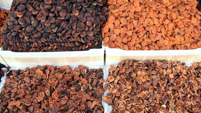 Kuru Kayısıya 23 Milyon Liralık Yatırım