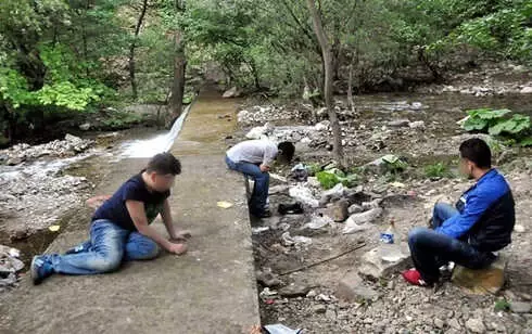 Uyuşturucu Maddenin Neden Olduğu 941 Ölümün 564'ünün Bonzaiden Olduğu Ortaya Çıktı