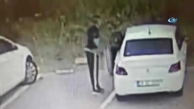 Koca Köpeği Arabanın Bagajına Koyarak Çalan Hırsız Kamerada