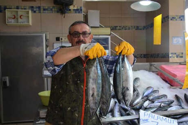 Karadeniz'de Palamut Bolluğu Yaşanıyor! Tanesi 5 Liraya Kadar Düştü