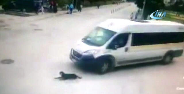 Bursa'da Köpeği Ezen Cani Servis Şoförü İşten Kovuldu Bursa'da Köpeği Ezen Cani Servis Şoförü İşten Kovuldu
