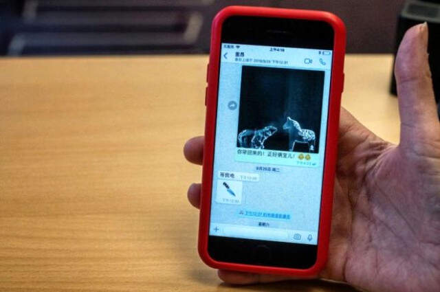 Eski Interpol Başkanı'nın Eşi Konuştu Kayıp Interpol Başkanı Bulundu, Eşi Son Mesajlarını Gazetecilerle Paylaştı
