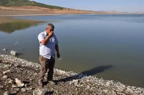 Su Seviyesi Düşen Barajda Binlerce Balık Kıyaya Vurdu