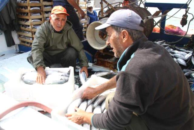 14 Metrelik Tekne ile Ava Çıkan Balıkçı, Limana 8 Bin Palamutla Döndü