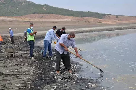 Barajda Kıyıya Vuran Balıklar Toplanıp, Çukura Gömüldü