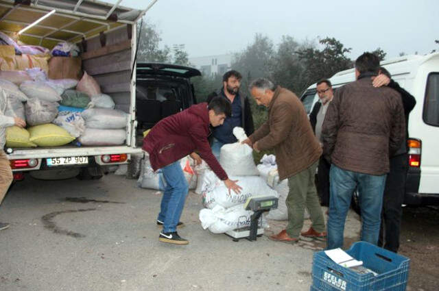 Düzce Kuzu Diye Biliniyor Türkiye'ye Yayılıyor Düzce Kuzusu Olarak Bilinen Kestane Kapış Kapış Satılıyor