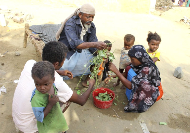 Yemenli Çocuklar Hayatta Kalmak İçin Üzüm Yaprağı Yiyor