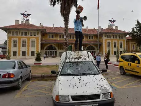 Sattığı Ürünleri Etrafa Saçtı, Görenler Telefonlarına Sarıldı