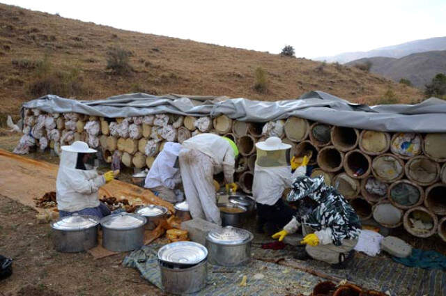 Bitlis'in Hizan İlçesinde Üretilen Karakovan Balı İlçe Ekonomisine Yaklaşık Bir Milyon Lira Katkı Sağlıyor Bitlis'in Hizan İlçesinde Üretilen Karakovan Balı İlçe Ekonomisine Yaklaşık Bir Milyon Lira Katkı Sağlıyor