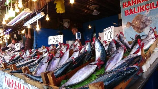 Balıkçılar, Bolluğu Yaşanan Palamudun Fiyatının Düşmemesini Stokçulara Bağladı