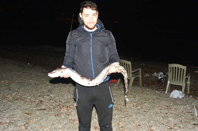 10 Yıllık Amatör Balıkçı, Oltayla 1,5 Metrelik Yılan Balığı Yakaladı