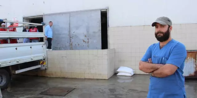 Bakıcısını Öldüren Deve, Kasaplara Emanet Edildi