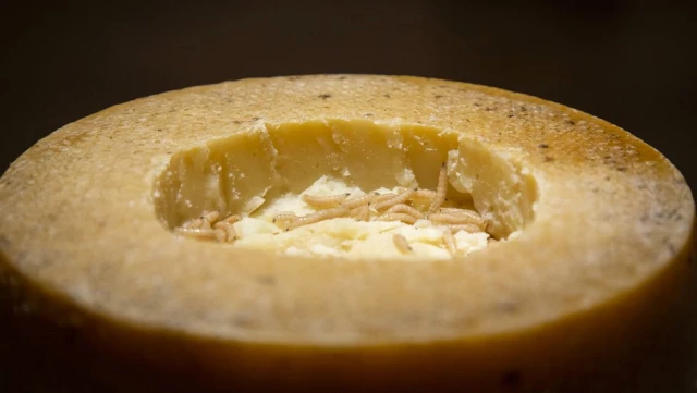 Boğa Penisinden, Kurtçuklarla Kaplı Peynire Dünyanın 'İğrenç' Yiyecekleri