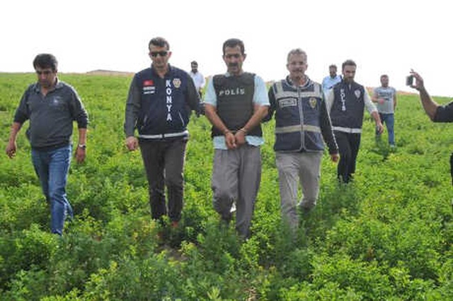 Çiftlik Sahibi ile Afgan İşçiyi, Ağabey Öldürmüş