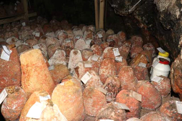 Dünyada Sadece 45 Ton Olan Divle Obruk Peyniri'nin Kalite Standardı Tescillendi Dünyada Sadece 45 Ton Olan Divle Obruk Peyniri'nin Kalite Standardı Tescillendi