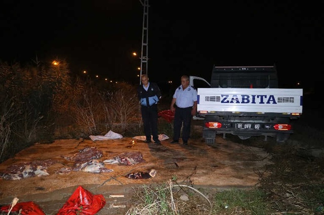 Sağlık Düşmanlarına Gece Yarısı Baskını: 400 Kilogram At Eti Ele Geçirildi