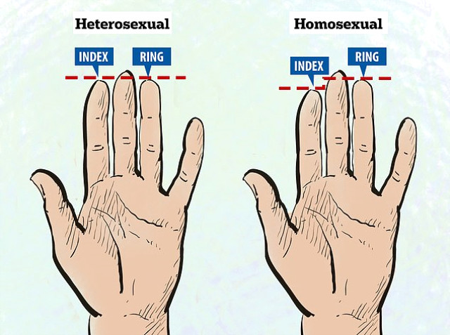 Yüzük ve İşaret Parmağı Birbirinden Farklı Kadınların Eşçinsel Olma Olasığı Daha Yüksek