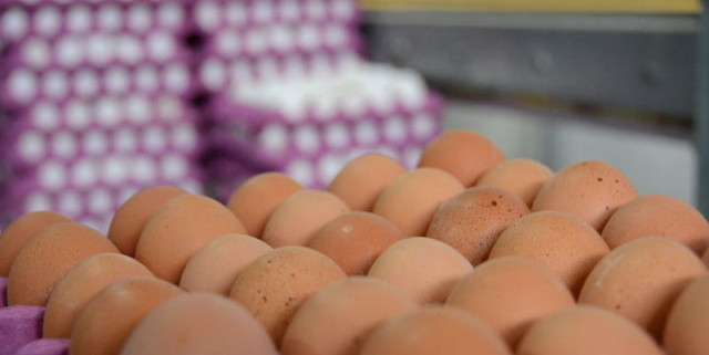 Yumurta Üreticilerinden İndirim Uyarısı: Herkesin Makul Karla Satması Gerekiyor