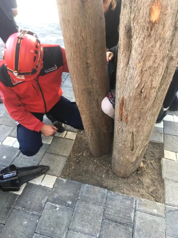 Bacağı Ağaca Sıkışan Kız Öğrenciyi, İtfaiye Kurtardı
