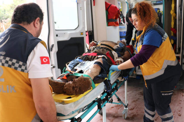 Canını Hiçe Sayıp Öğrencileri Kurtardı, Kendisi Kamyonun Altında Kaldı Canlarını Hiçe Sayan 2 Kişi, Öğrenciler İçin Kendilerini Kamyonun Önüne Attı