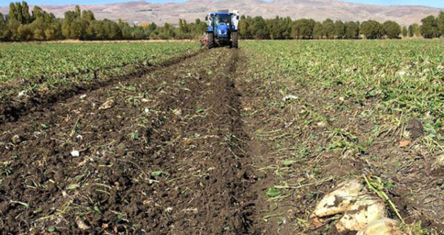 Muş'tan Ülke Ekonomisine 200 Milyon Liralık Katkı