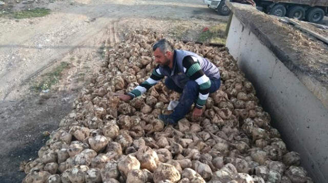 Muş'tan Ülke Ekonomisine 200 Milyon Liralık Katkı