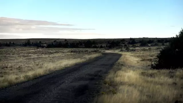 Matthew Shepard: Amerika'yı Değiştiren Cinayet