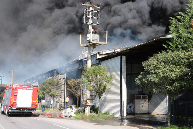 Son Dakika! Sakarya'da Kereste Fabrikasında Yangın Çıktı! Ekipler Müdahale Ediyor Sakarya'da Kereste Fabrikası Cayır Cayır Yandı